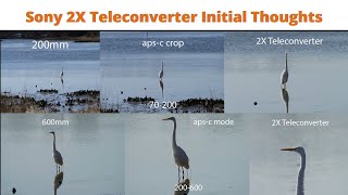 Video thumbnail for Sony 2X Teleconverter Initial Thoughts by thedvsmonkey