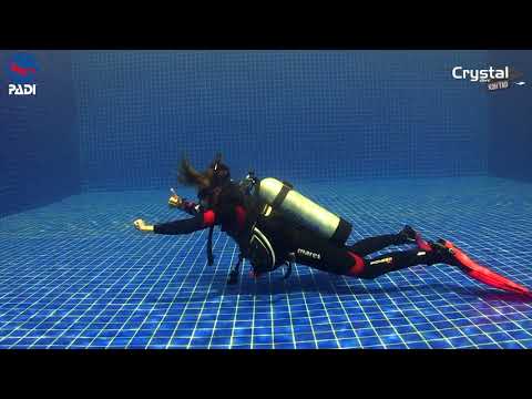 How to Get Neutral Buoyancy (Scuba Diving Skills) 🤿 PADI IDC Skills Dive