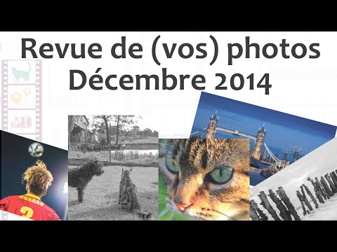 comment participer a une exposition photo