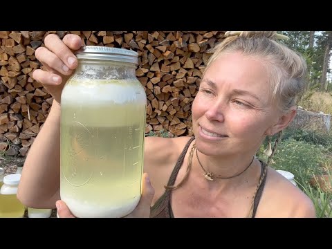 Making Blaand: A Goat Whey Fermented Drink