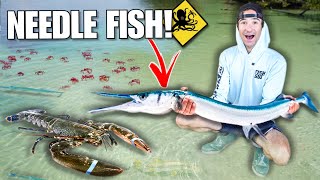 Catching NEEDLE FISH For My SALTWATER Aquarium!