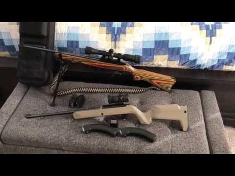 Warning! Do Not Buy a Ruger 10/22!