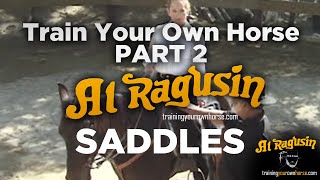 Train Your Own Horse Part 2 — English, Western & Australian Saddles: Which Is Right for You?