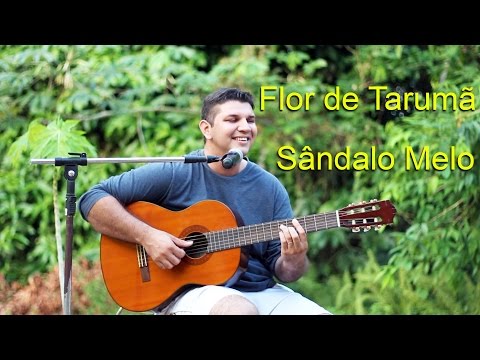 Flor De Tarumã - Sandalo