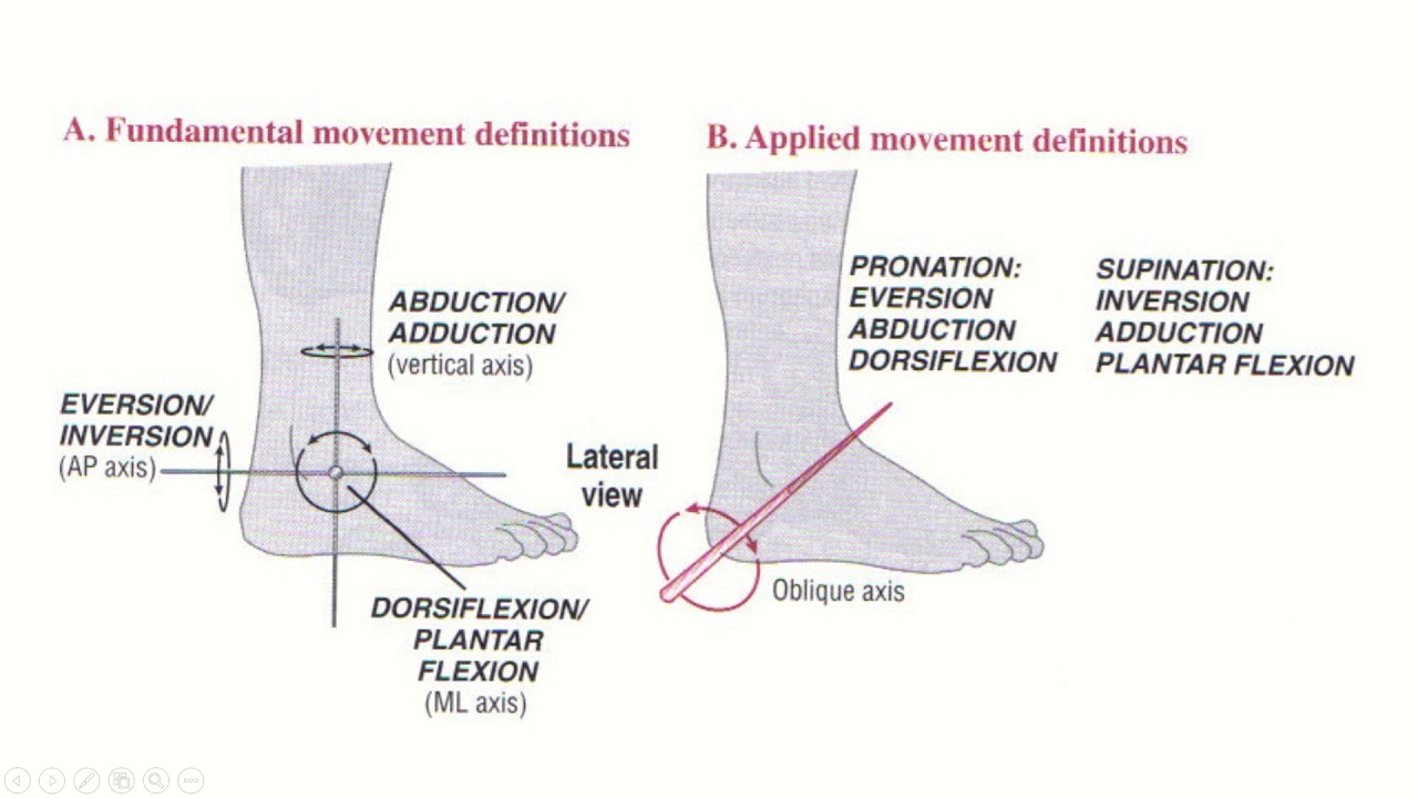Biomecánica del Pie parte 1