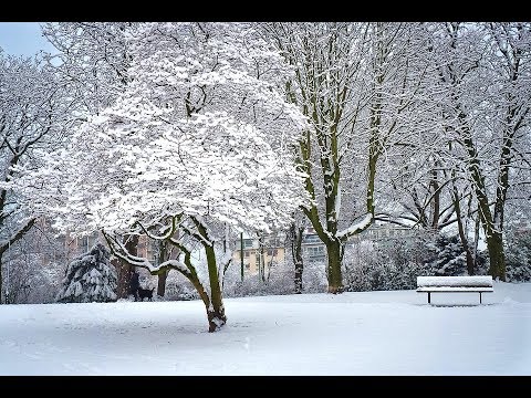 I Understand - G Clefs (난 이해해요- 지 클랩스)(Auld Lang Syne 올드 랭 사인)［가사 한글자막］