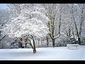 I Understand G Clefs 난 이해해요 지 클랩스 Auld Lang Syne 올드 랭 사인 가사 한글�