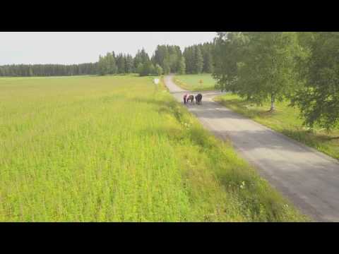 Bollywoodissa ruokataulla