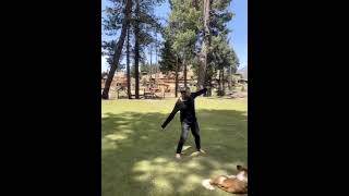 #Fairy Meadows #2022 #Dog #Mountain  #View #meditationmusic #relaxingmusic