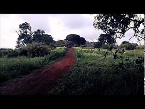 Revista Monitores del Sur 7 - Cantera. Fran Carbonero "Carbonerito"