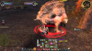 LOTRO Skirmishes: Level 100 Minstrel Attack at Dawn T2 [Lord of the Rings Online]