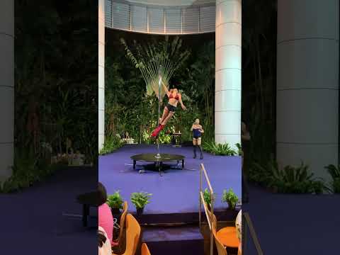 Suzie covers MUSE FEELING GOOD while Gaby Pole Dances