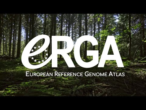 What is ERGA? - European Reference Genome Atlas