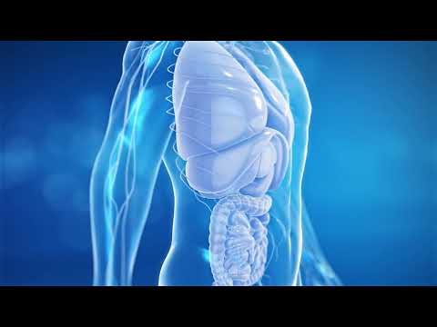 Hyperlight Optics Glasses - Zepter (ENG)