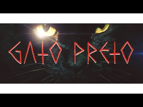 Video thumbnail for GATO PRETO