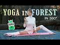 Yoga Stretching With Anna 360 Degrees ASMR 4K VR Video