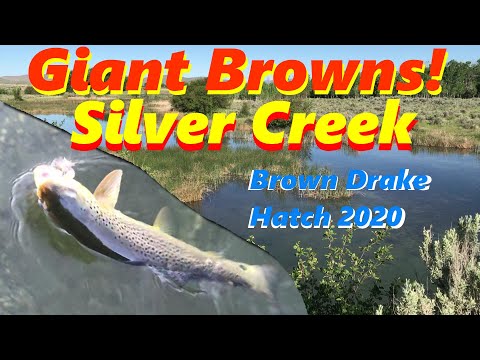 image-Why is Silver Creek called Silver Creek?