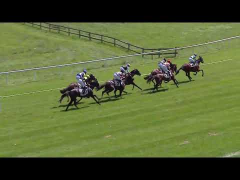 Avenches/26.08.2019/Prix de Newbury