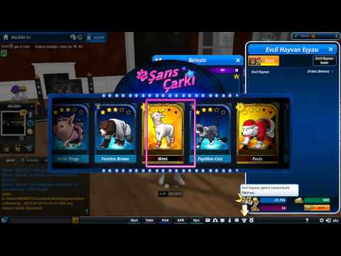 Mstar Pet Birleştirme