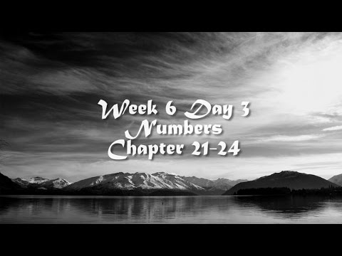 Audio Bible Reading Plan - Week 6 Day 3 (Numbers 21-24))
