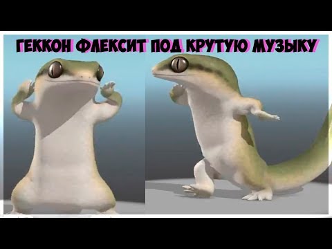 Пожилой геккон флексит под крутую музыку!