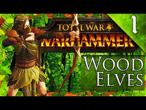 KING IN THE WOODS! Total War Warhammer: Wood Elves Grand Campaign #1