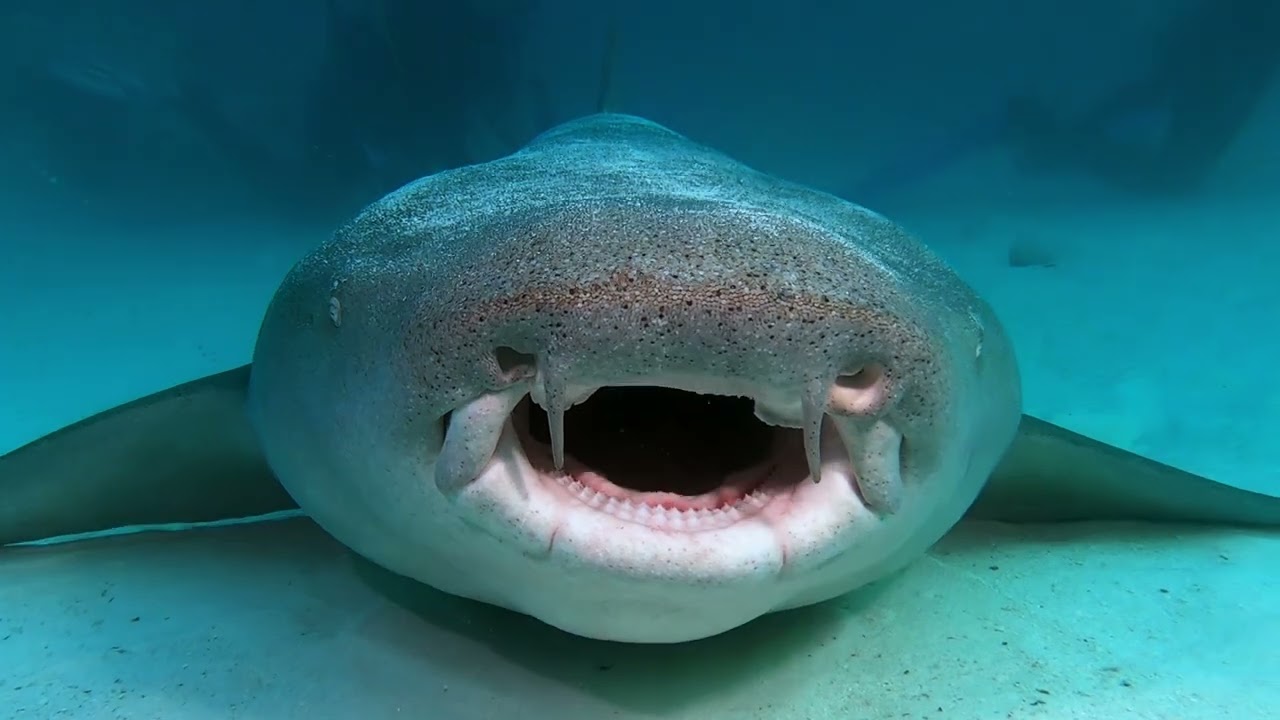 Miracle Maldives 2022