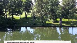 preview picture of video 'Holiday Hills Resort Luxury Condo For Rent In Branson, MO'