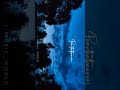 Pookal Pookum Tharunam Madrasapattinam Lyrics Video Cover Song WhatsApp Status