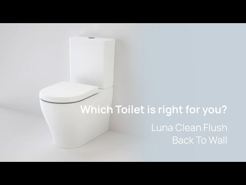 Caroma Luna Clean Flush Back to Wall Toilet | Which Toilet Is Right
