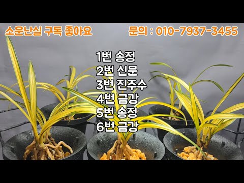 유튜브 썸네일