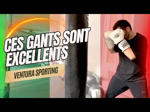 Que valent les gants de boxe de la marque VENTURA SPORTING ?