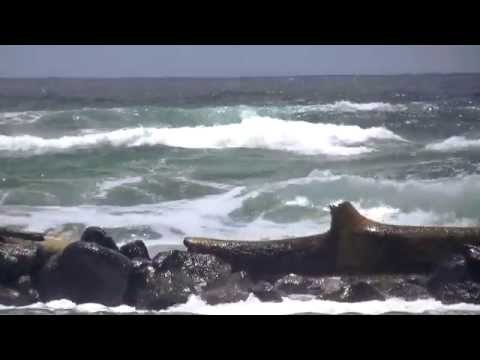 Sea Spray: Complex chemistry with big effects on...