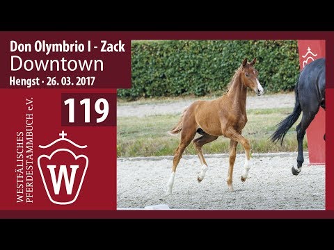 119 Downtown  Hengst v. Don Olymbrio I - Zack