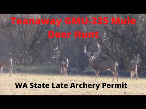 Teanaway River Valley GMU-335 Archery Mule Deer Hunt #muledeerhunting #archeryhunting