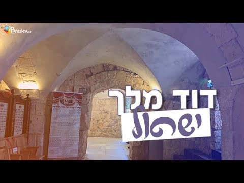 דוד מלך ישראל