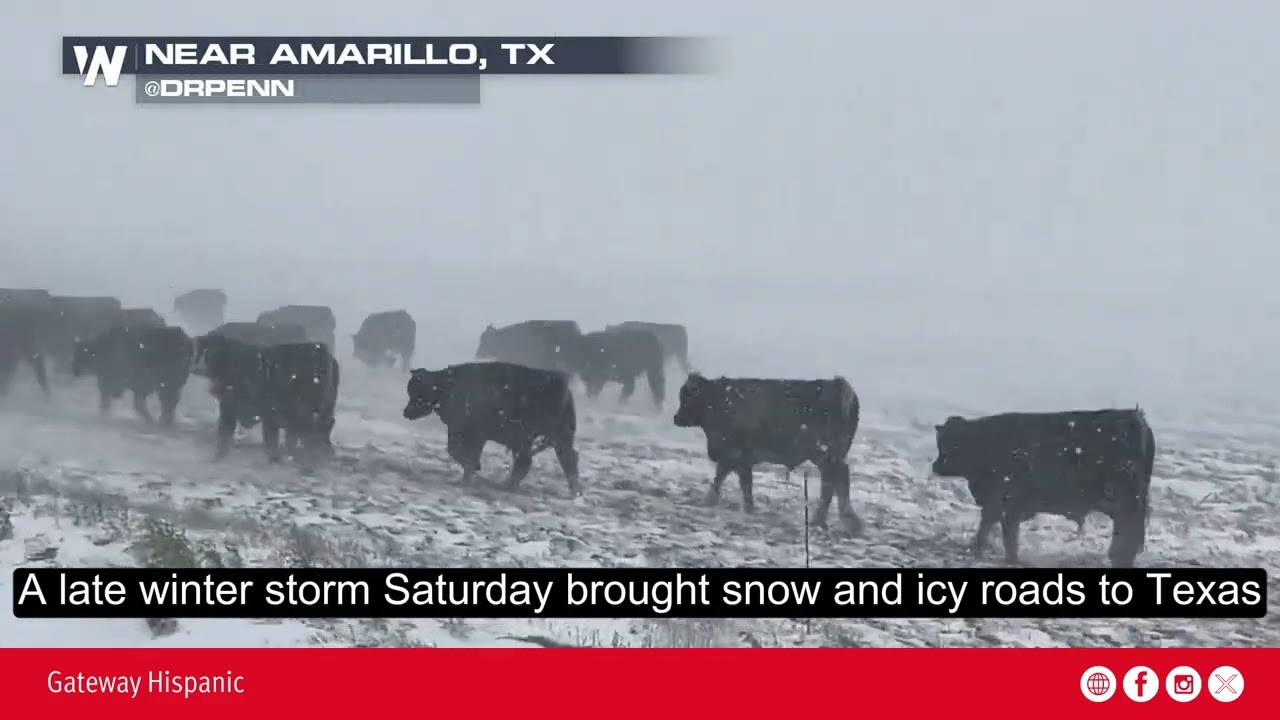 Late winter storm Saturday brought snow and icy roads to Texas