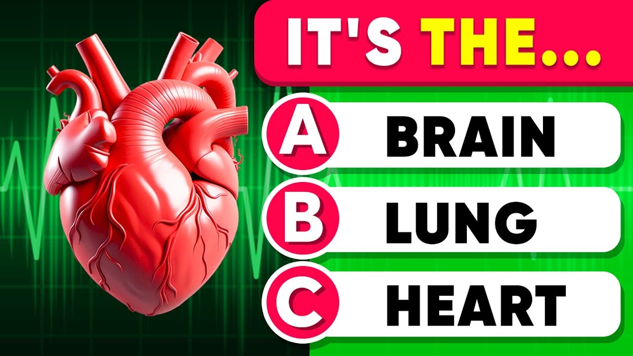 Can You Pass This Human Body Quiz? 🧠 Take This Question Anatomy Quiz! 📚