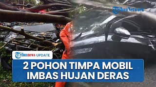 2 Pohon Besar Tumbang dan Timpa 6 Mobil di Dharmawangsa Jaksel, Satu Orang Dilaporkan Tewas