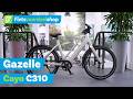 Gazelle Cayo C310 2026 video