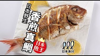 日本漁川系列──【真鯛】