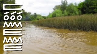 Carisma - Que Linda tu Pradera (Official Video)