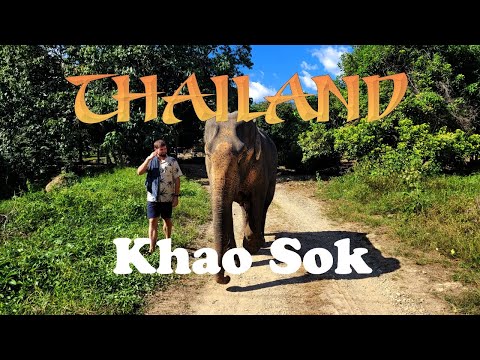 Elefanten, Floßdorf und tiefster, thailändischer Dschungel KHAO SOK | THAILAND 2022 #4