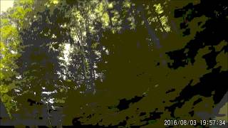 &quot;Brainville&quot; (Flaming Lips), performed by C. Smith