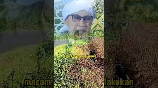 Download lagu Hati-hati ! Ketika mengadakan resepsi pernikahan bahkan melakukan hal yang haram. II Buya Yahya mp3 Download lagu Hati-hati ! Ketika mengadakan resepsi pernikahan bahkan melakukan hal yang haram. II Buya Yahya mp3