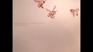 Koen Holtkamp - In The Absence Of Gravity Please Note The Position Of The Sun