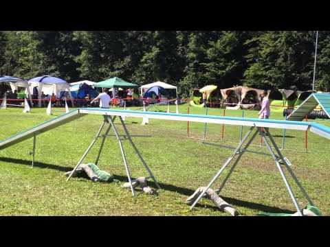 Davor i Elky KD Duplica 17.08.2014 - 2. trka A1M