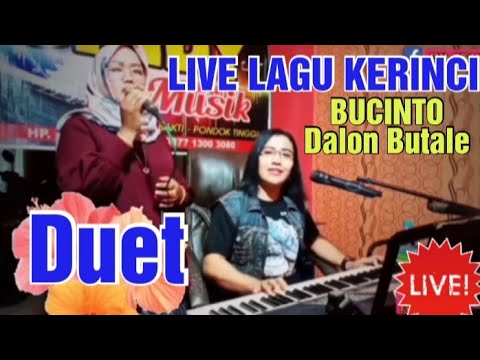 BUCINTO DALON BUTALE ( LIVE EVA SUSAN ) LAGU KERINCI COVER - DUET