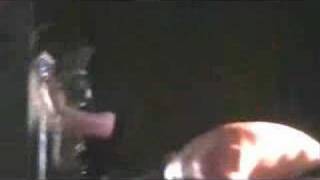 Psycroptic - Alpha Breed