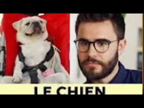 PRESQUE ADULTES EP2 - LE CHIEN 5
